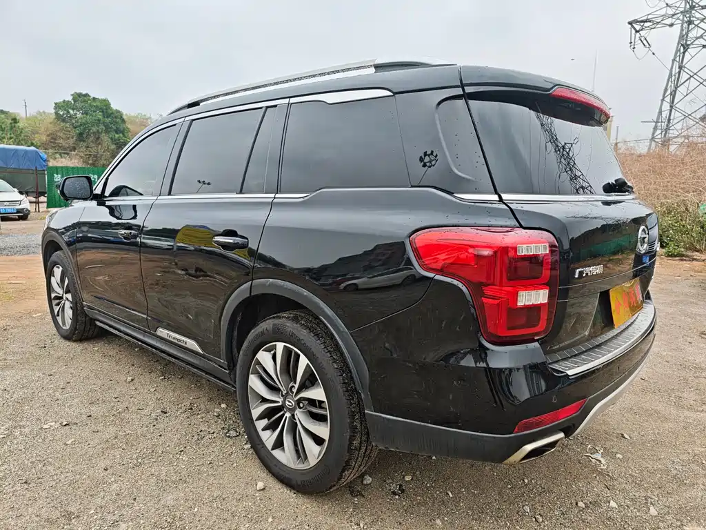 GAC Trumpchi GAC Trumpchi GS8 2017 320T 2WD Luxury Intelligent Link Edition (Seven Seats) 2018 - thumbnail 6