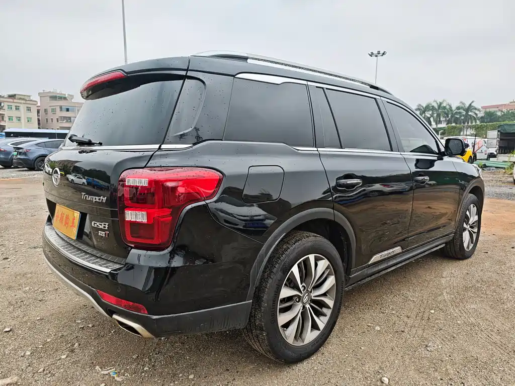 GAC Trumpchi GAC Trumpchi GS8 2017 320T 2WD Luxury Intelligent Link Edition (Seven Seats) 2018 - thumbnail 7