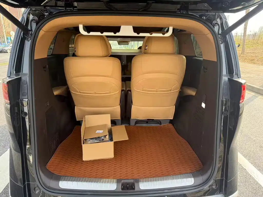 Denza DENZA D9 2024 PIONEER Four-Seat Pioneer Edition 2025 - thumbnail 8