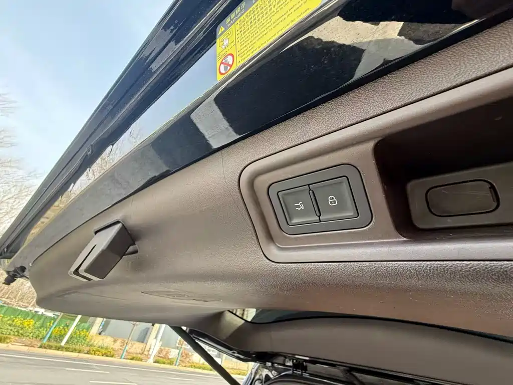 Denza DENZA D9 2024 PIONEER Four-Seat Pioneer Edition 2025 - thumbnail 26