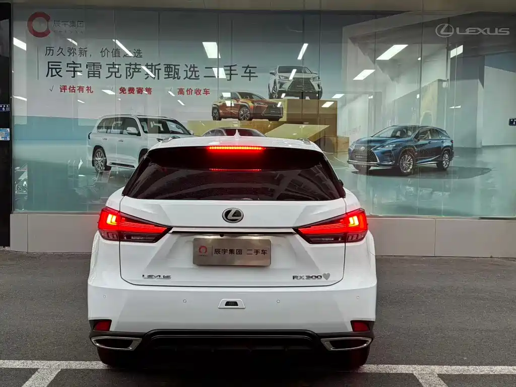 Lexus Lexus RX 300 F SPORT AWD 2020 Model China V Emission Standard 2020 - thumbnail 6