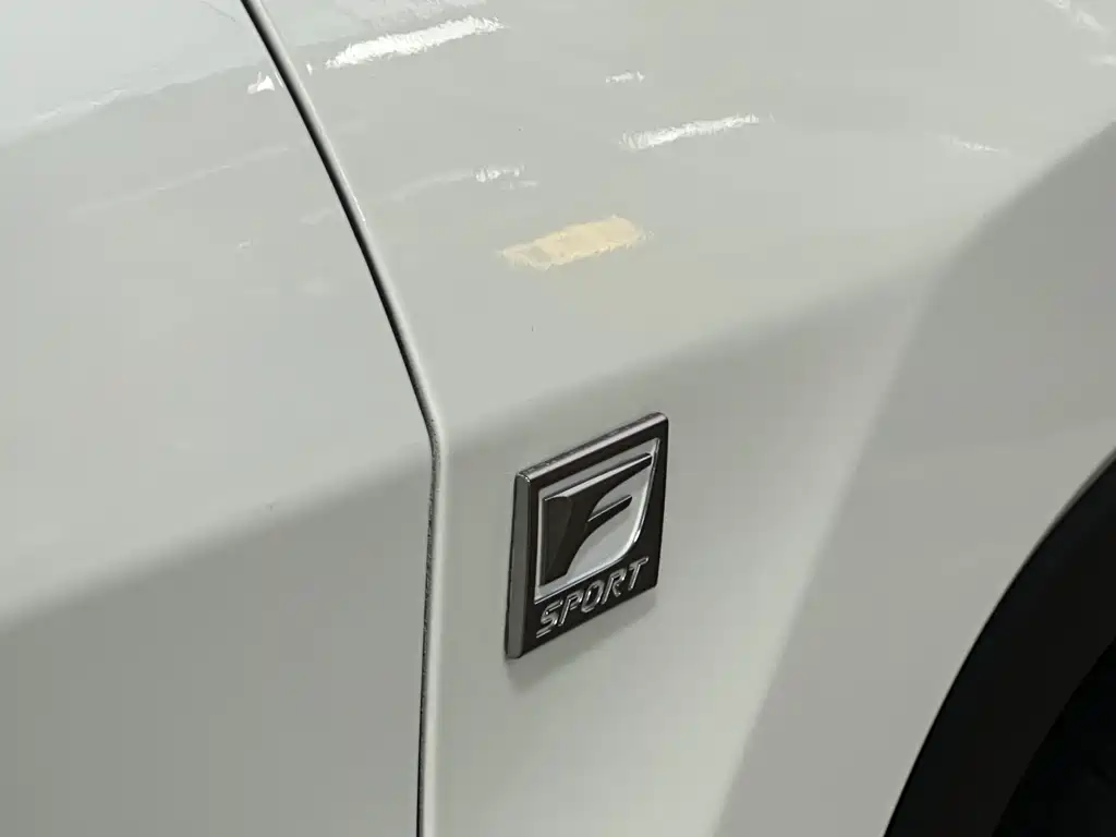 Lexus Lexus RX 300 F SPORT AWD 2020 Model China V Emission Standard 2020 - thumbnail 13