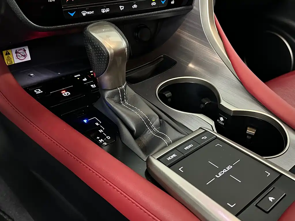 Lexus Lexus RX 300 F SPORT AWD 2020 Model China V Emission Standard 2020 - thumbnail 15