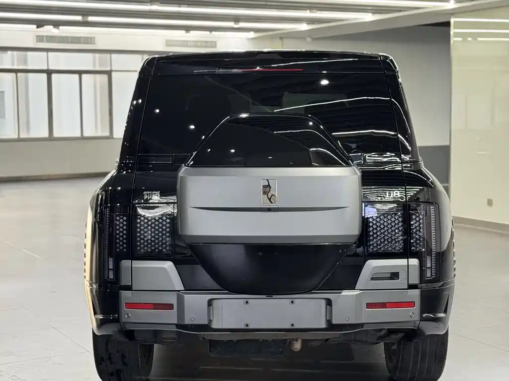 BYD Wey U8 2023 Luxury Edition 2024 - thumbnail 11