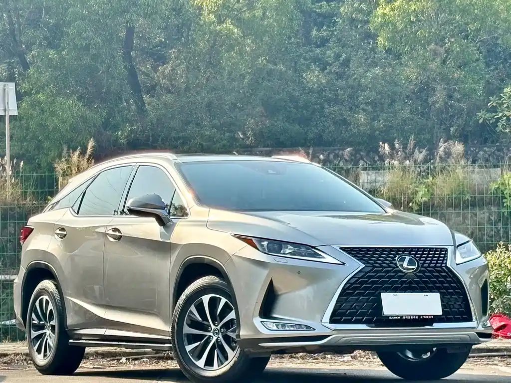 Lexus Lexus RX 300 F Sport (2020 Facelift) 2022 - thumbnail 2