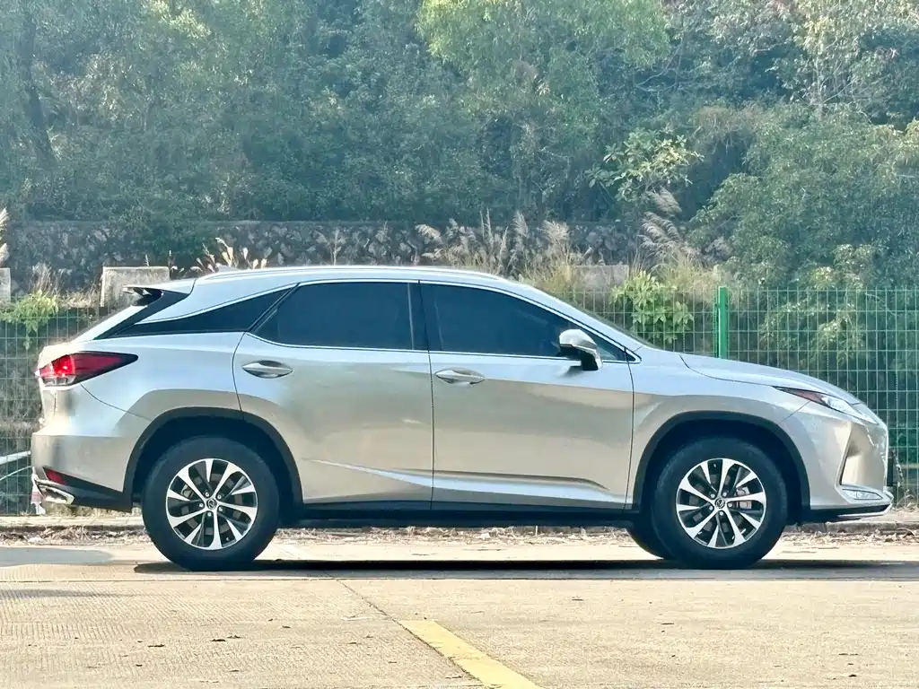 Lexus Lexus RX 300 F Sport (2020 Facelift) 2022 - thumbnail 4