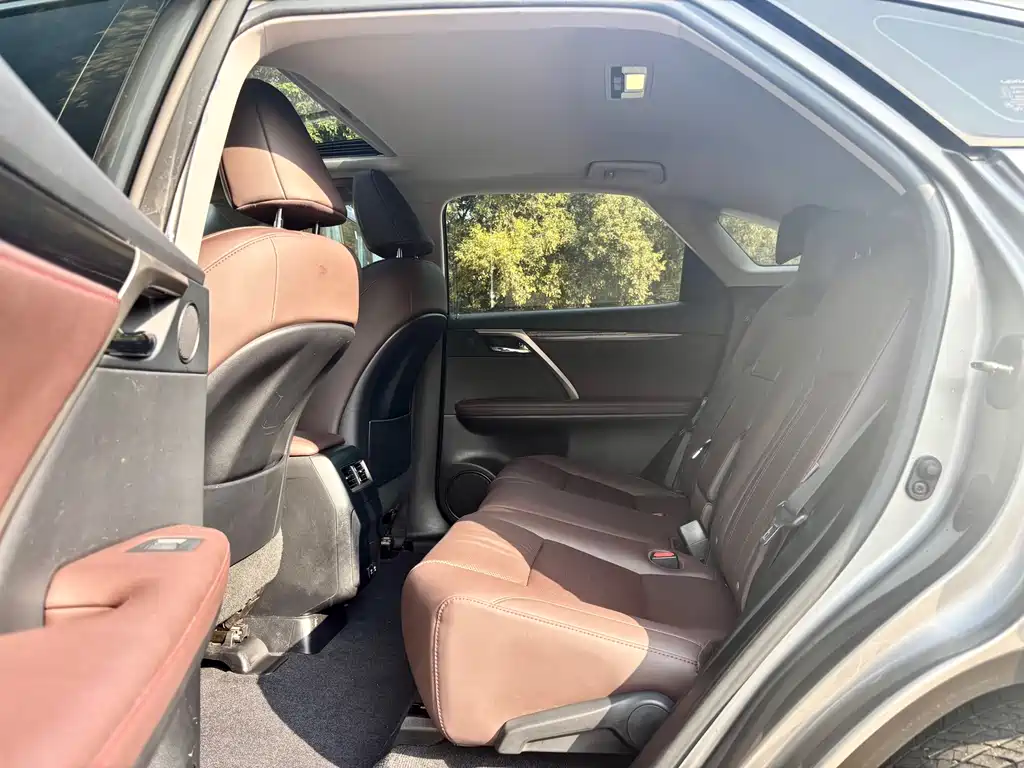 Lexus Lexus RX 300 F Sport (2020 Facelift) 2022 - thumbnail 9