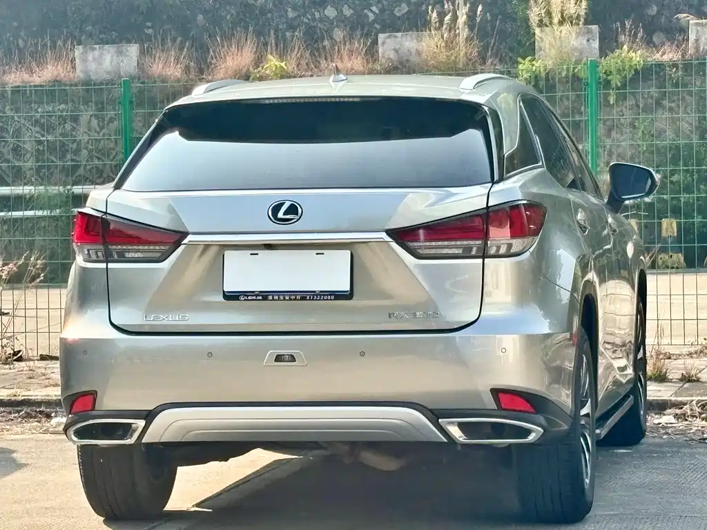 Lexus Lexus RX 300 F Sport (2020 Facelift) 2022 - thumbnail 14