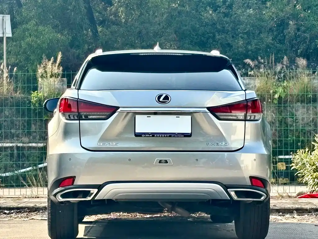 Lexus Lexus RX 300 F Sport (2020 Facelift) 2022 - thumbnail 15