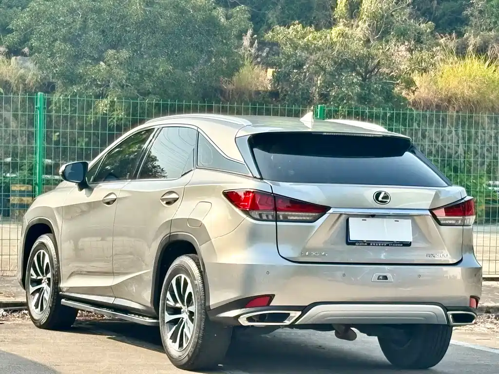 Lexus Lexus RX 300 F Sport (2020 Facelift) 2022 - thumbnail 16