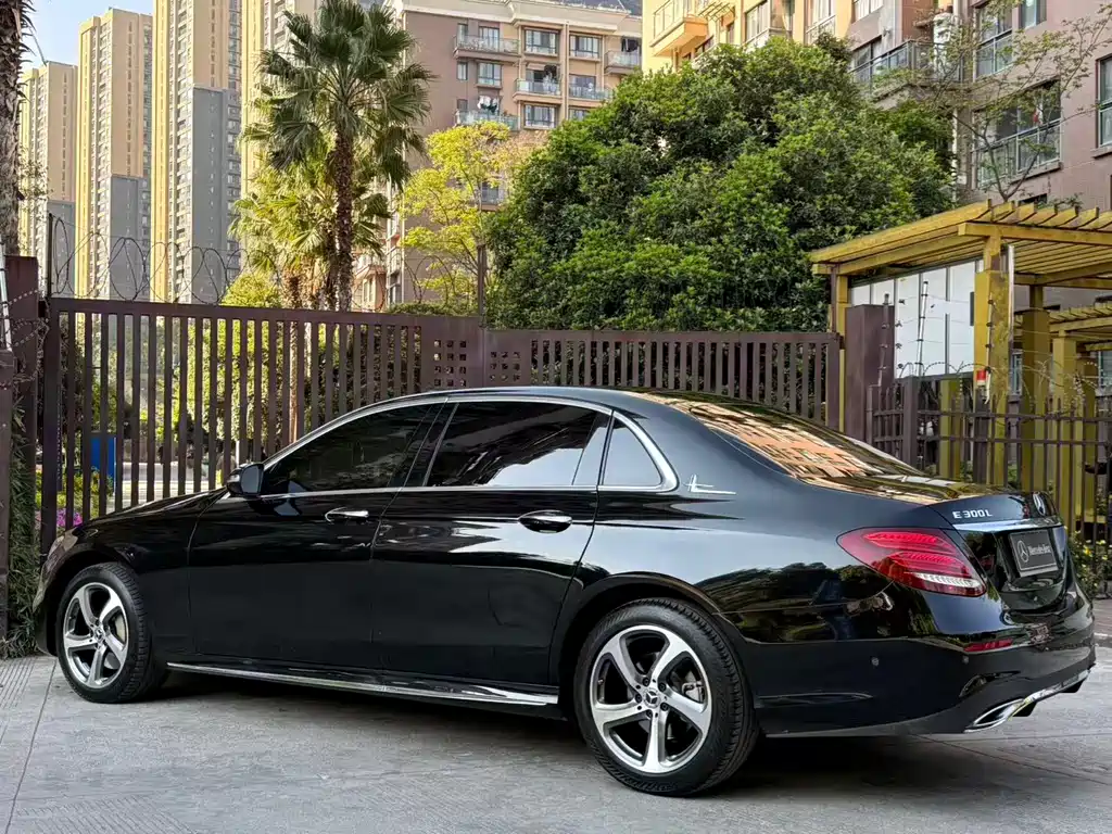 Mercedes-Benz Mercedes-Benz E-Class 2019 E 300 L Sport Luxury Edition 2019 - thumbnail 5