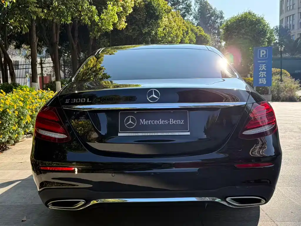 Mercedes-Benz Mercedes-Benz E-Class 2019 E 300 L Sport Luxury Edition 2019 - thumbnail 6