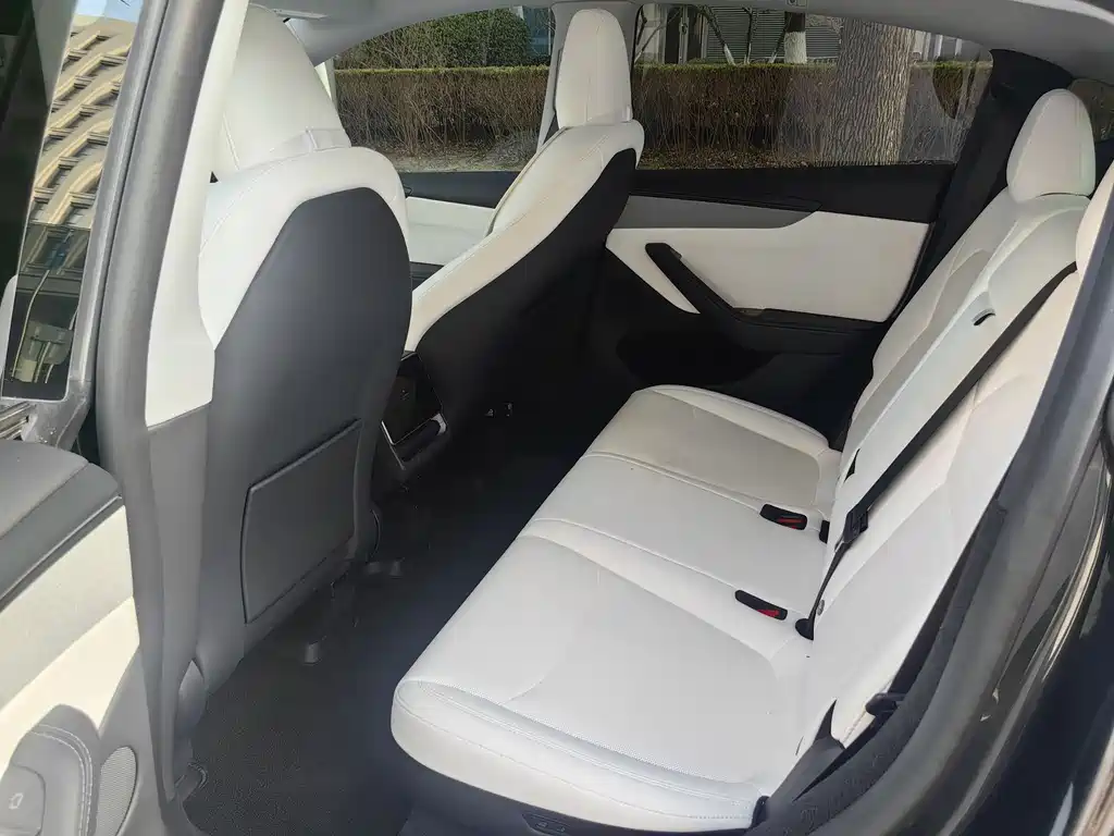 Tesla Model Y 2025 Rear-Wheel Drive Launch Edition 2025 - thumbnail 18