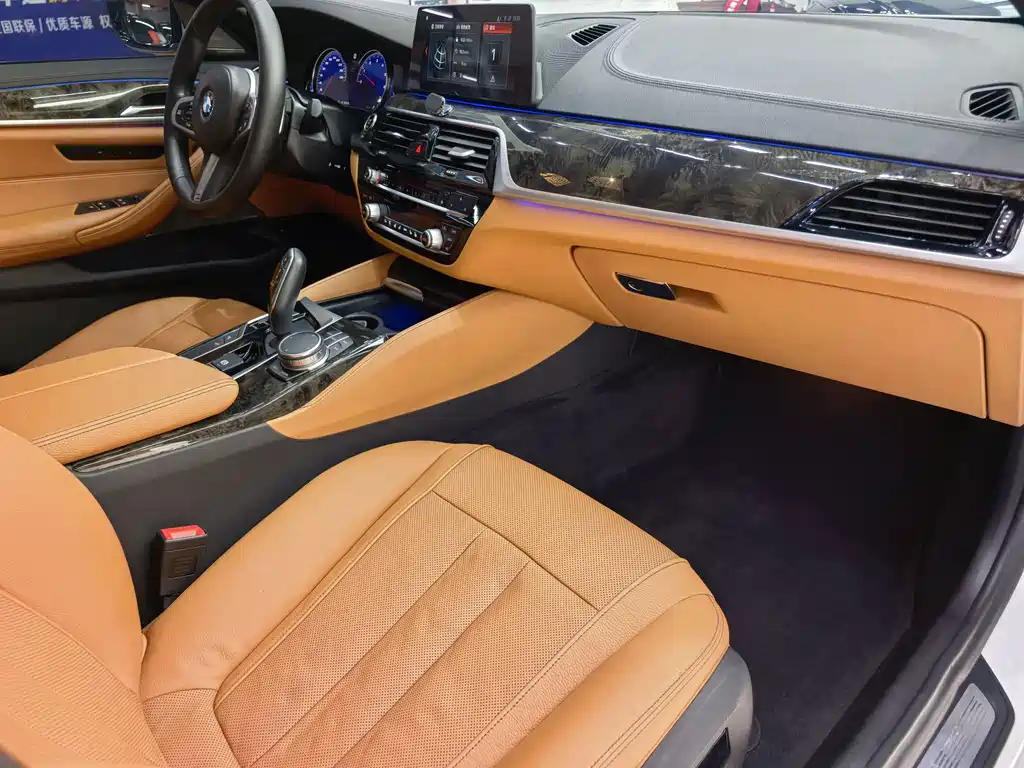 BMW BMW 5 Series 2018 530Li Luxury M Sport Package 2018 - thumbnail 9