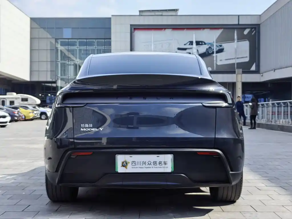 Tesla Model Y 2025 Rear-Wheel Drive 2025 - thumbnail 6