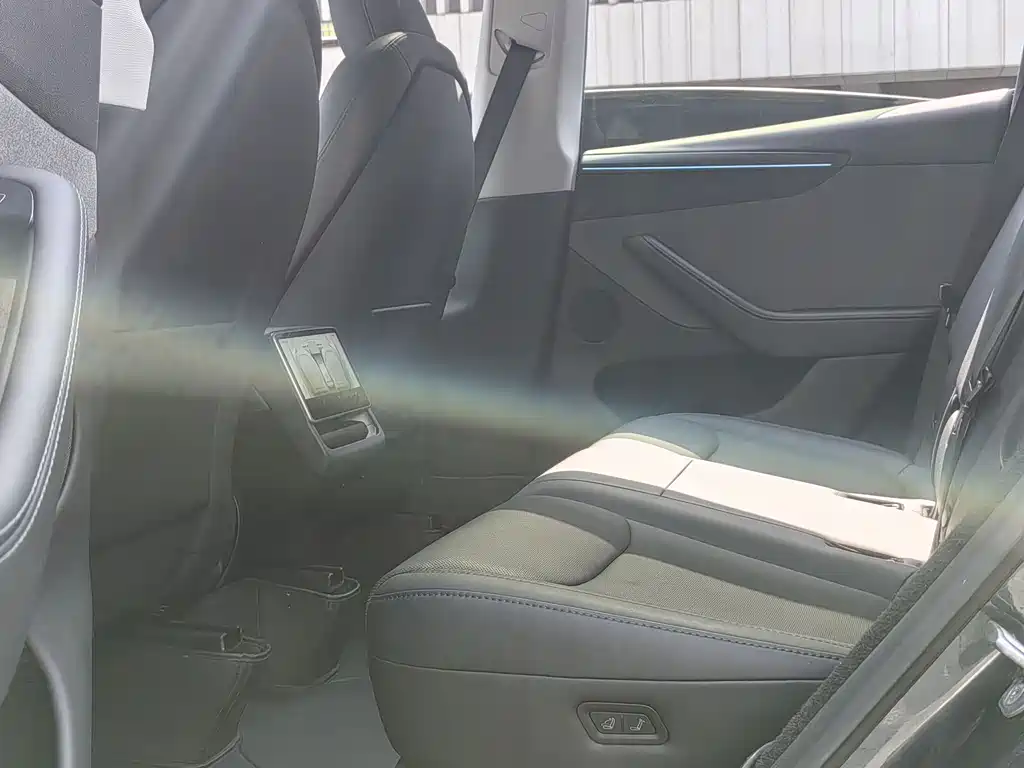 Tesla Model Y 2025 Rear-Wheel Drive 2025 - thumbnail 13