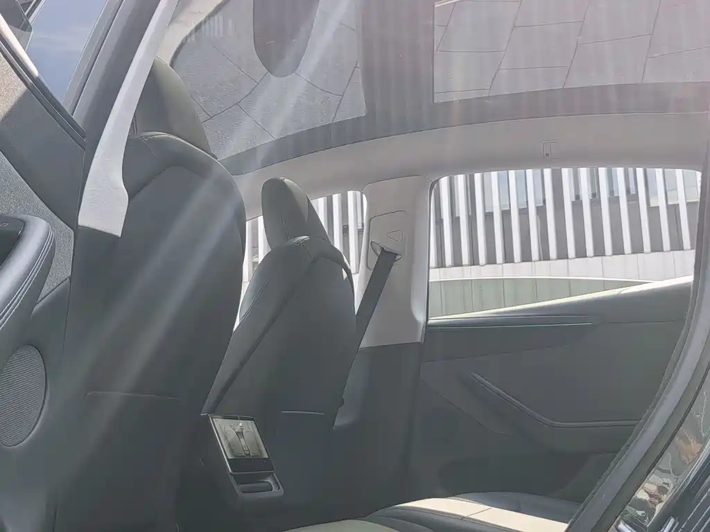 Tesla Model Y 2025 Rear-Wheel Drive 2025 - thumbnail 14