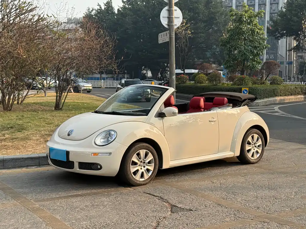Volkswagen Volkswagen Beetle 2009 2.0 AT Convertible Premium Edition 2009
