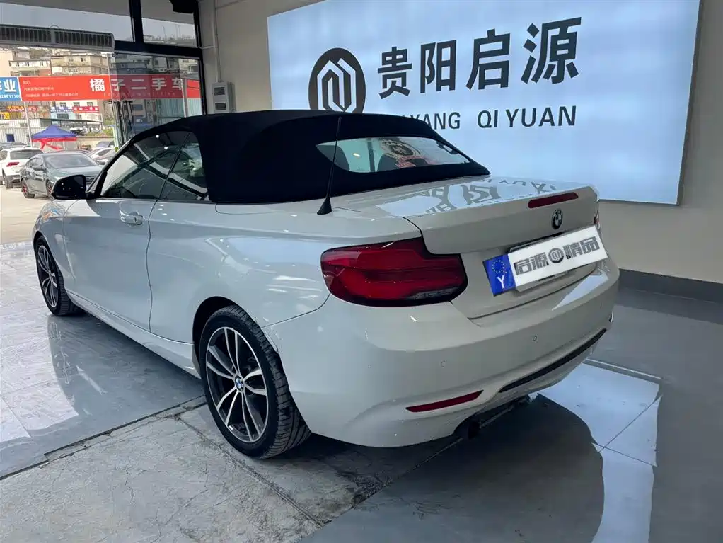 BMW BMW 2 Series Convertible 2018 220i M Sport Package 2020 - thumbnail 20
