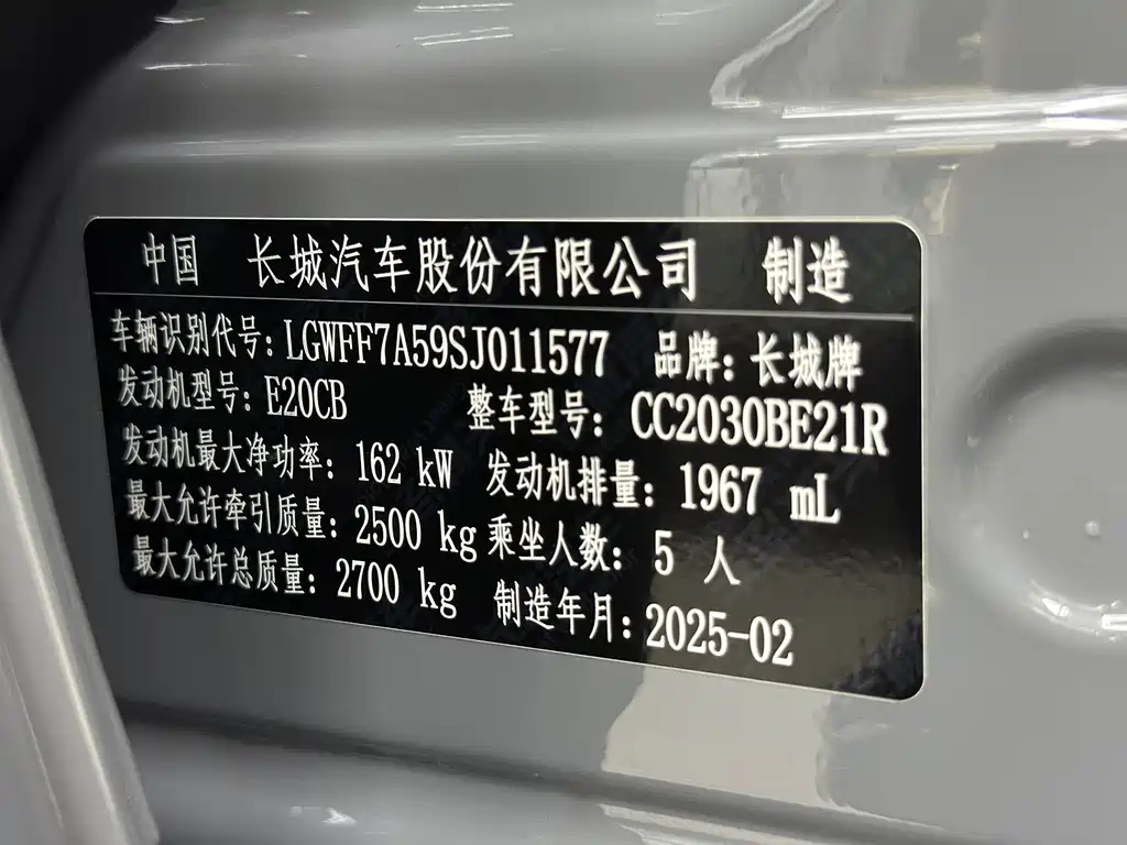Tank Tank 300 2025 2.0T Gasoline Conqueror 2026 - thumbnail 18