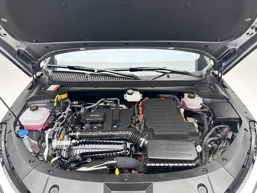 BYD BYD Qin L 2024 DM-i 80KM Leading Edition 2024 - thumbnail 15