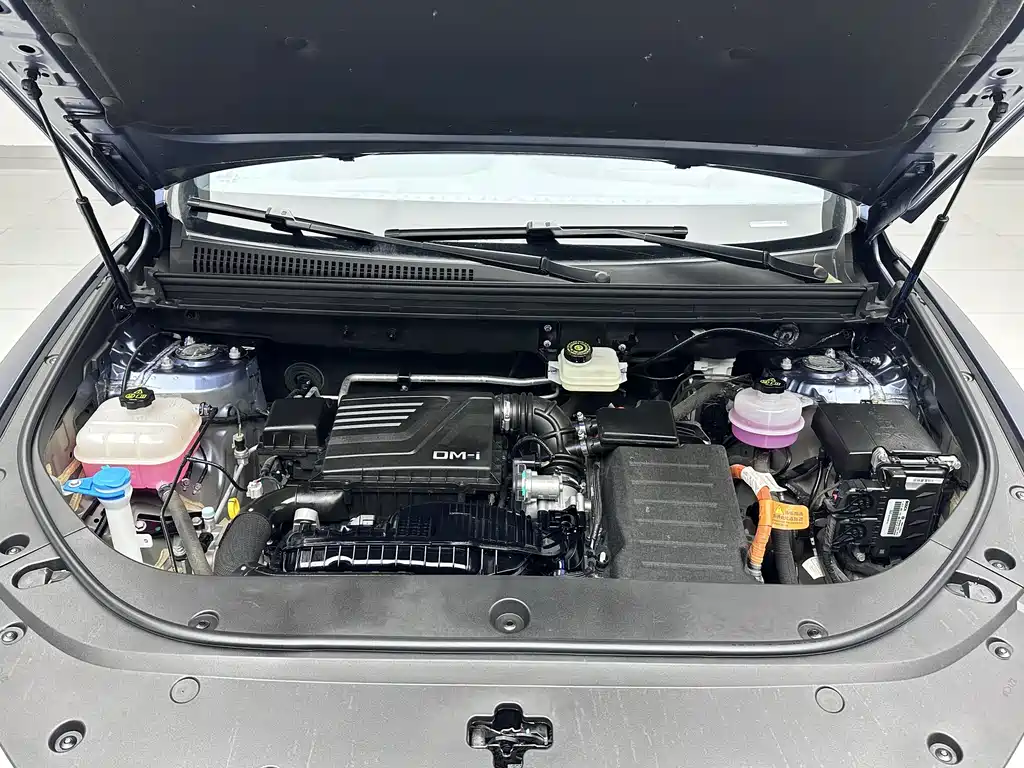 BYD BYD Song Pro NEV 2023 Champion Edition DM-i 110KM Premium Model 2023 - thumbnail 16