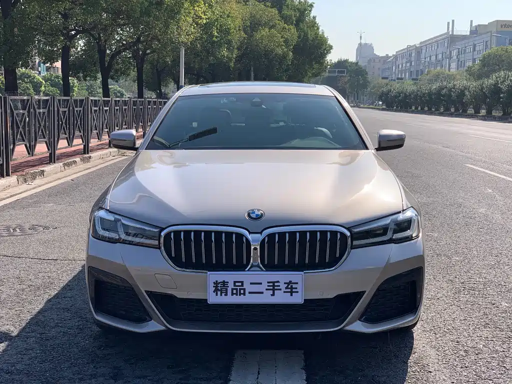 BMW BMW 5 Series 2021 525Li Luxury Package 2021 - thumbnail 2