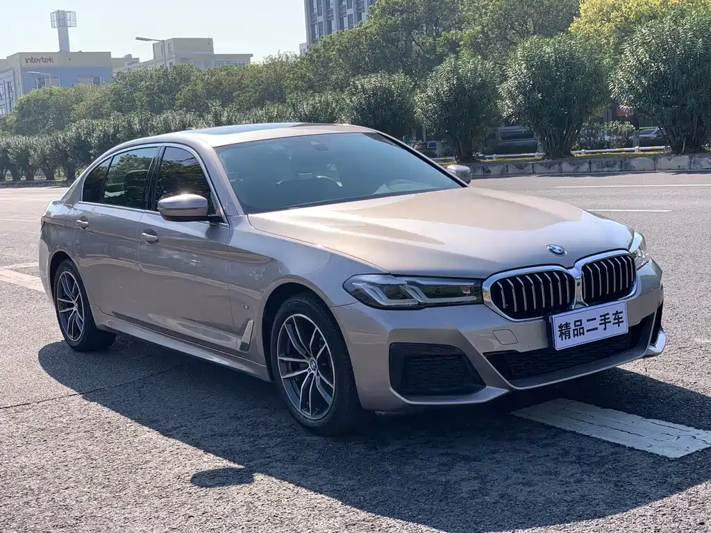BMW BMW 5 Series 2021 525Li Luxury Package 2021 - thumbnail 3