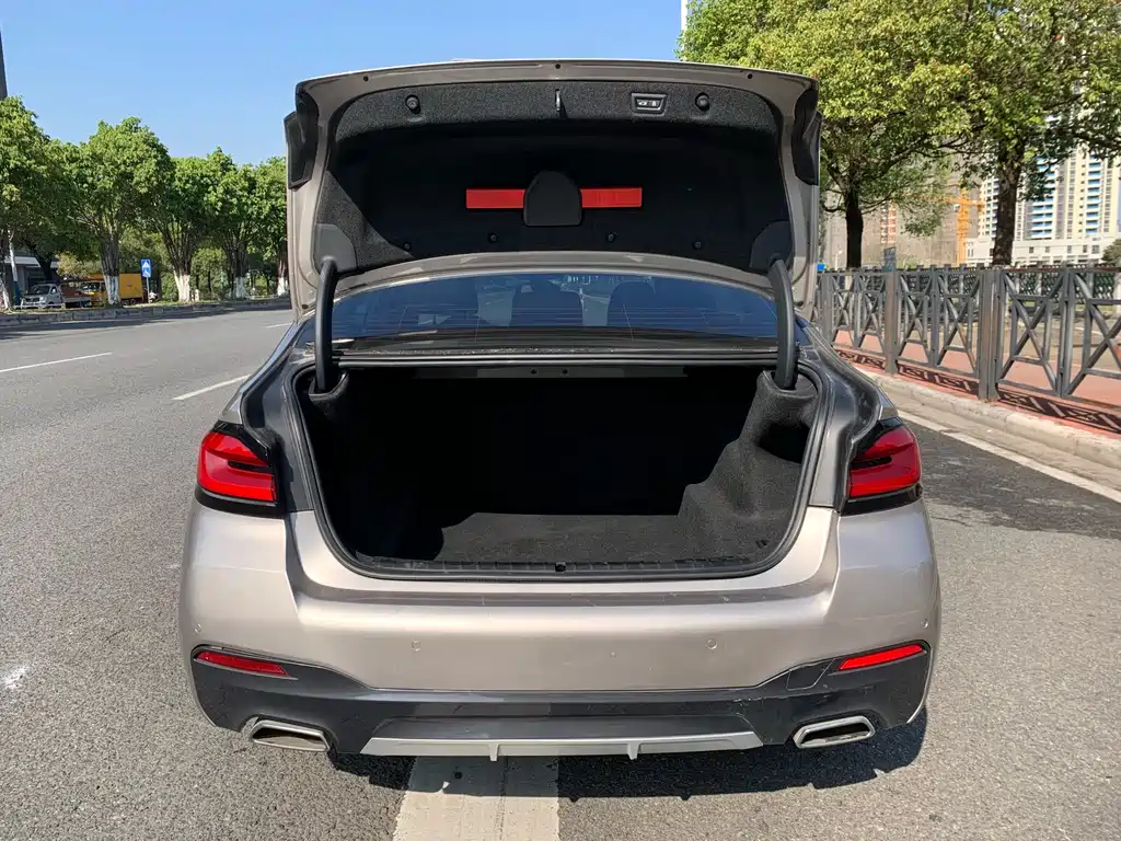 BMW BMW 5 Series 2021 525Li Luxury Package 2021 - thumbnail 7