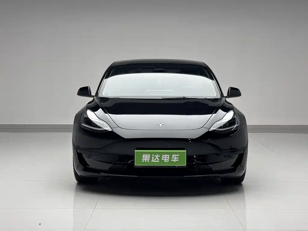Tesla Model 3 2021 Standard Range Rear-Wheel Drive Enhanced Version 3D6 2021 - thumbnail 2