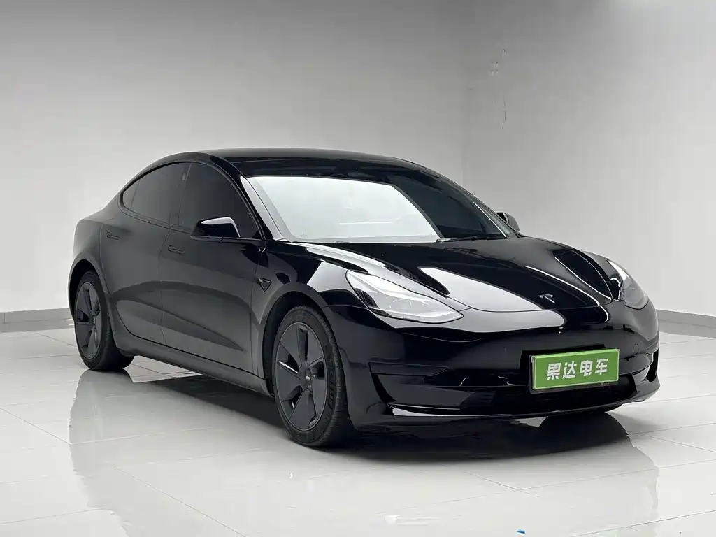Tesla Model 3 2021 Standard Range Rear-Wheel Drive Enhanced Version 3D6 2021 - thumbnail 3