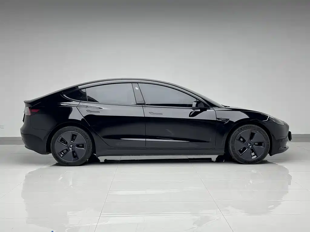 Tesla Model 3 2021 Standard Range Rear-Wheel Drive Enhanced Version 3D6 2021 - thumbnail 5