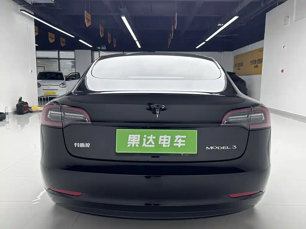 Tesla Model 3 2021 Standard Range Rear-Wheel Drive Enhanced Version 3D6 2021 - thumbnail 6