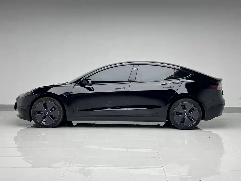 Tesla Model 3 2021 Standard Range Rear-Wheel Drive Enhanced Version 3D6 2021 - thumbnail 7