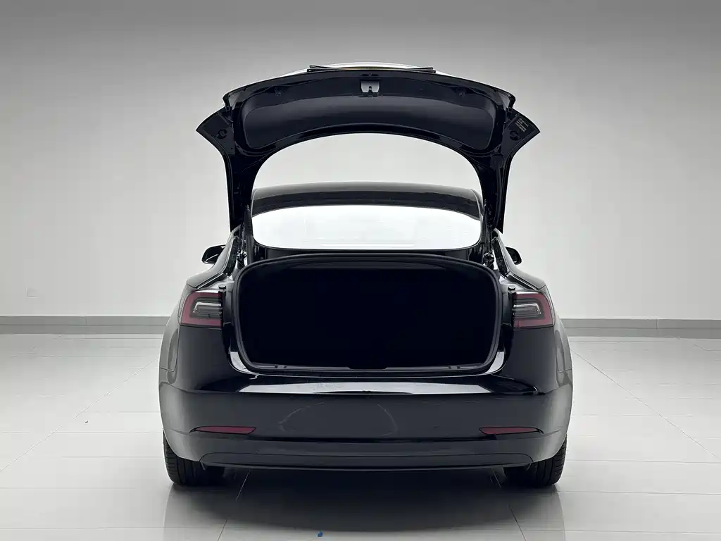 Tesla Model 3 2021 Standard Range Rear-Wheel Drive Enhanced Version 3D6 2021 - thumbnail 9