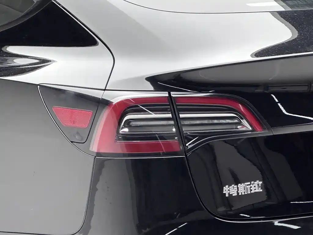Tesla Model 3 2021 Standard Range Rear-Wheel Drive Enhanced Version 3D6 2021 - thumbnail 11