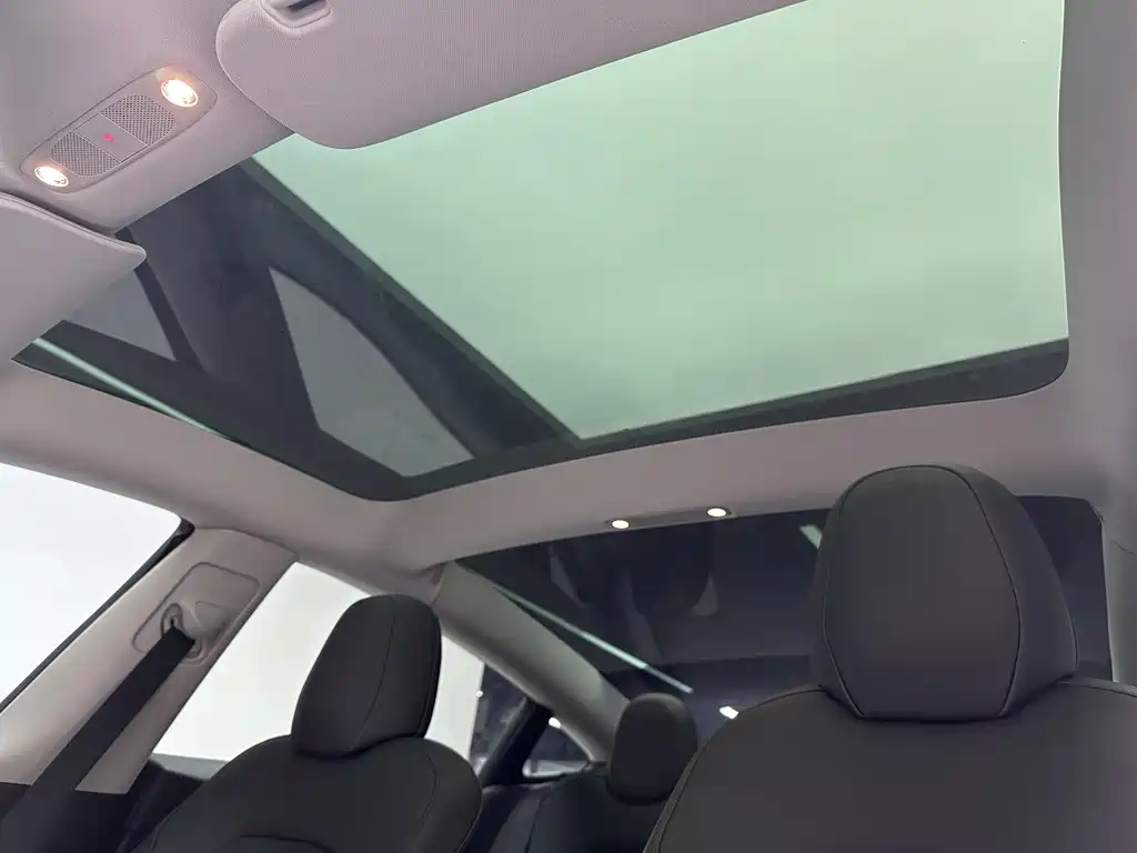Tesla Model 3 2021 Standard Range Rear-Wheel Drive Enhanced Version 3D6 2021 - thumbnail 13