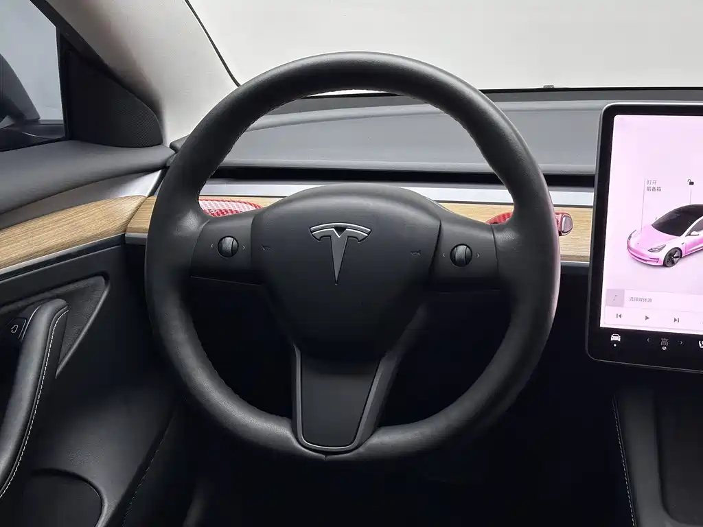 Tesla Model 3 2021 Standard Range Rear-Wheel Drive Enhanced Version 3D6 2021 - thumbnail 14