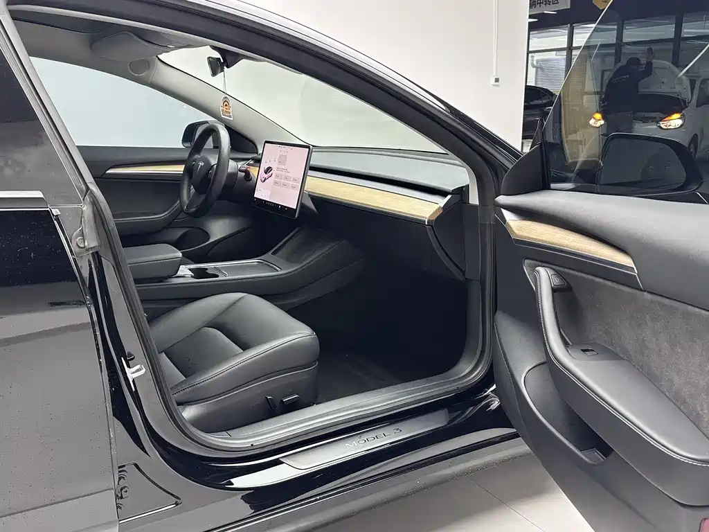 Tesla Model 3 2021 Standard Range Rear-Wheel Drive Enhanced Version 3D6 2021 - thumbnail 16
