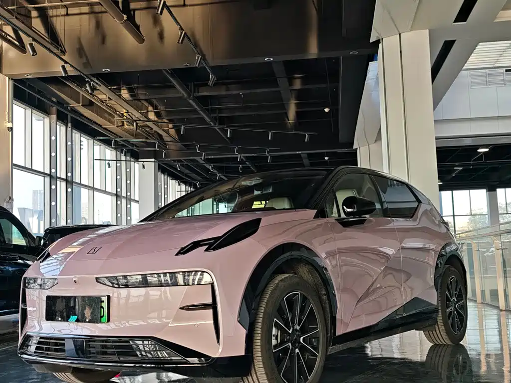 Zeekr Zeekr X 2025 Four-seat Rear-wheel Drive Magic Cube Edition 2024