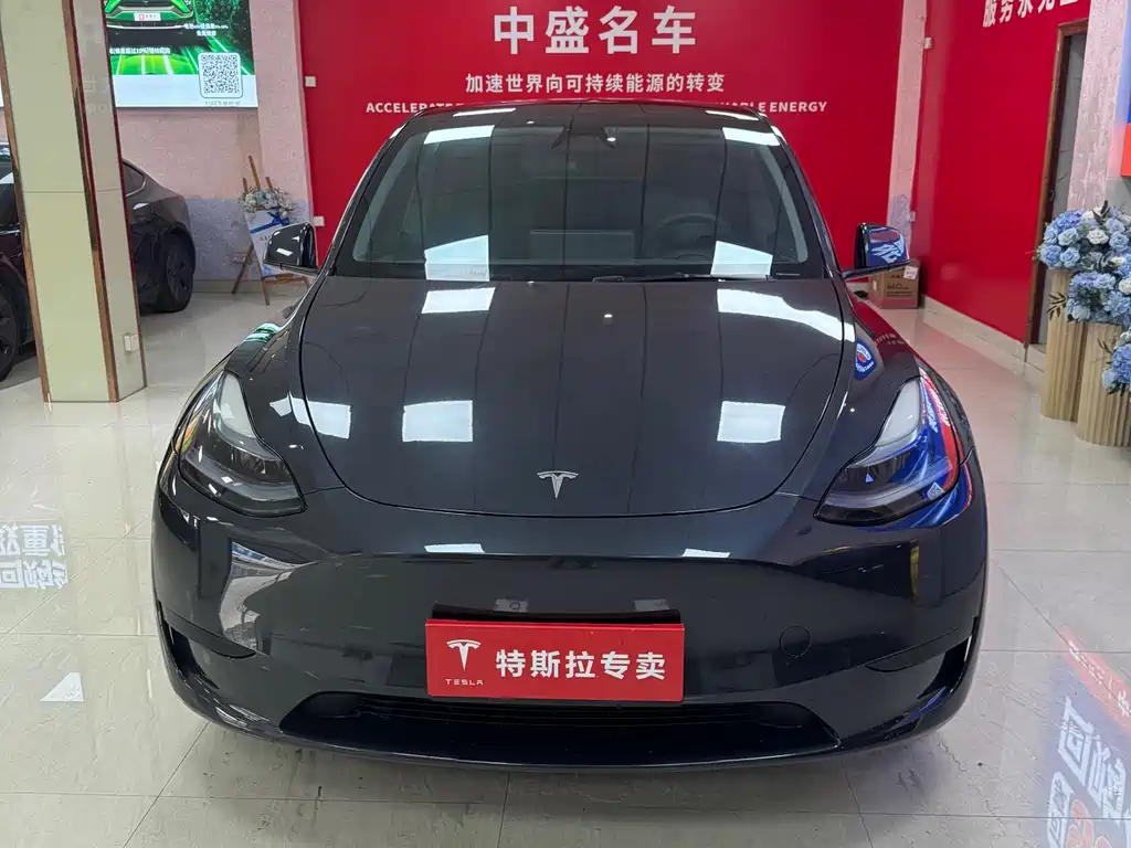 Tesla Model Y 2024 Rear-Wheel Drive 2024 - thumbnail 2