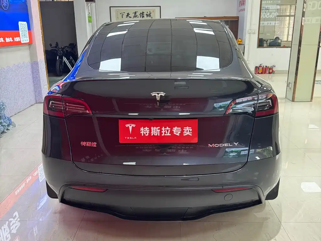 Tesla Model Y 2024 Rear-Wheel Drive 2024 - thumbnail 9