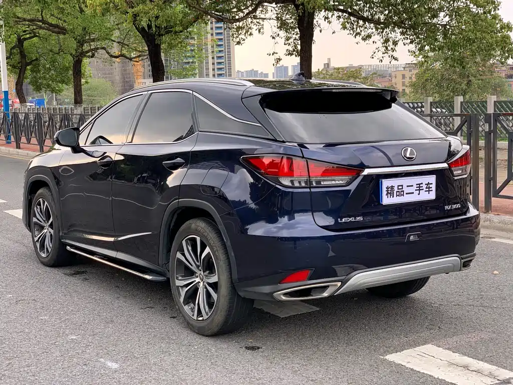 Lexus Lexus RX 300 AWD Elegant Edition 2020 Model VI 2021 - thumbnail 4