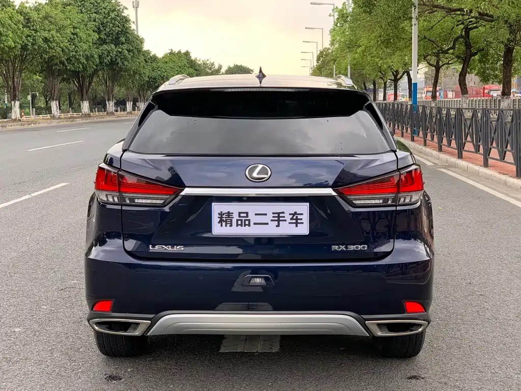 Lexus Lexus RX 300 AWD Elegant Edition 2020 Model VI 2021 - thumbnail 5