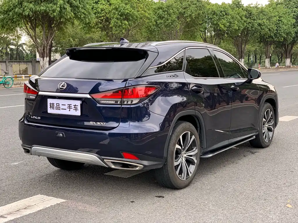 Lexus Lexus RX 300 AWD Elegant Edition 2020 Model VI 2021 - thumbnail 6