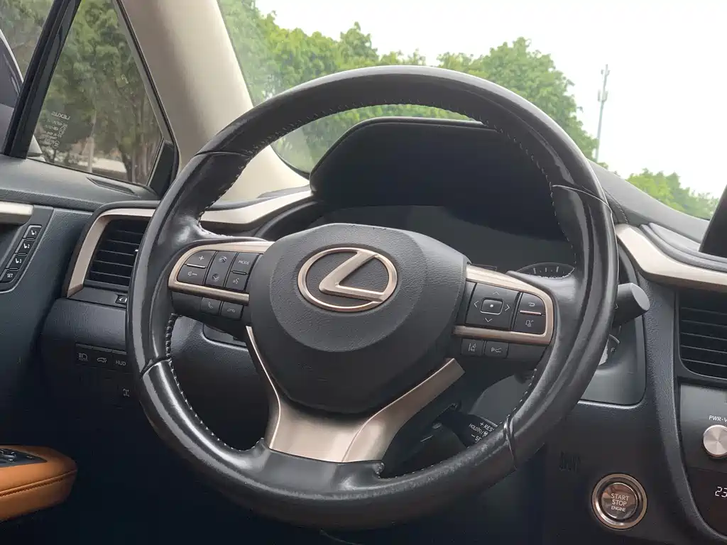 Lexus Lexus RX 300 AWD Elegant Edition 2020 Model VI 2021 - thumbnail 19
