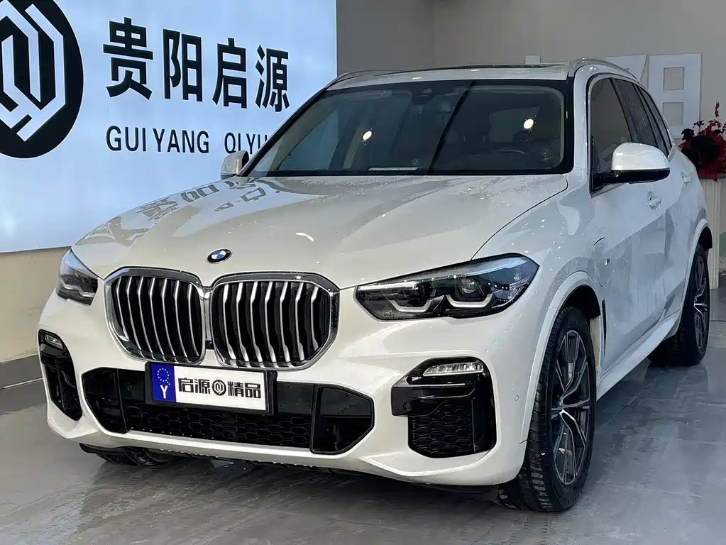 BMW BMW X5 xDrive45e M Sport Package 2020 Model Imported New Energy 2020