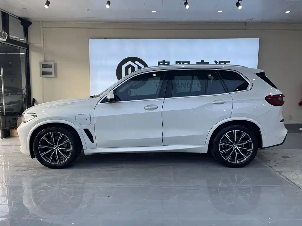 BMW BMW X5 xDrive45e M Sport Package 2020 Model Imported New Energy 2020 - thumbnail 3