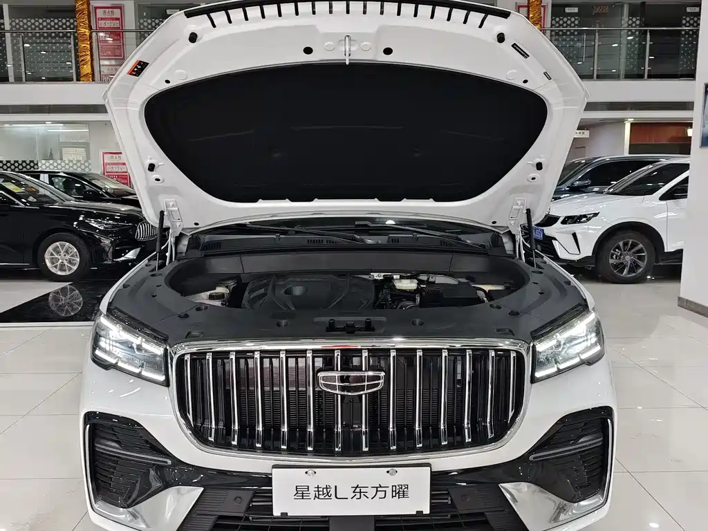 Geely Auto Star Over L 2026 Edition Oriental Shine 2.0TD Automatic Star Capture Version 2026 - thumbnail 2