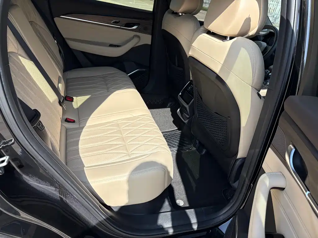Geely Auto Star Over L 2026 East Shine 2.0TD Automatic Star Capture Edition 2025 - thumbnail 11